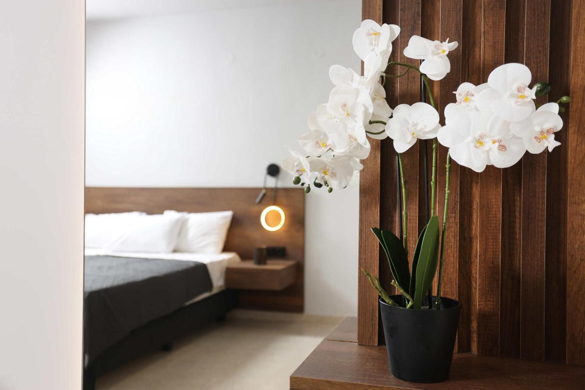 Danae Comfort Living Pefkochori Esterno foto
